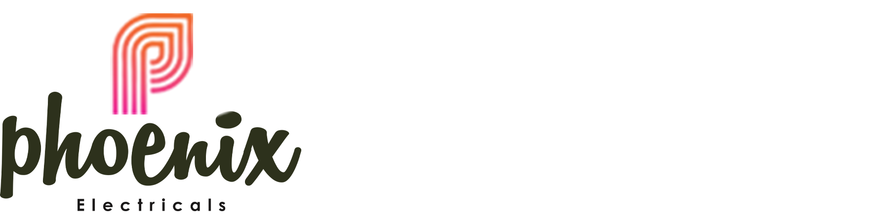 cctvphoenix.in